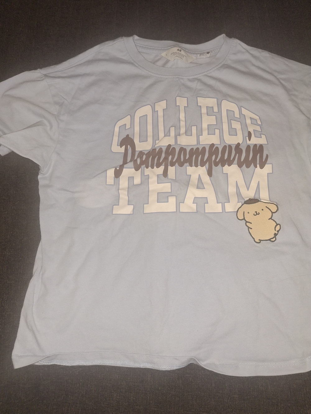 H&M Light Blue Pompompurin College Team Graphic Tee